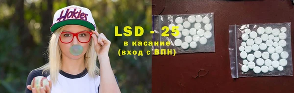 ECSTASY Богданович