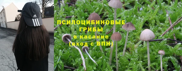 ГАЛЛЮЦИНОГЕННЫЕ ГРИБЫ Нязепетровск