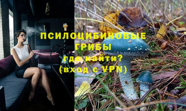 меф Няндома