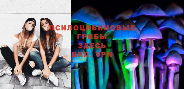 гидропоника Нягань