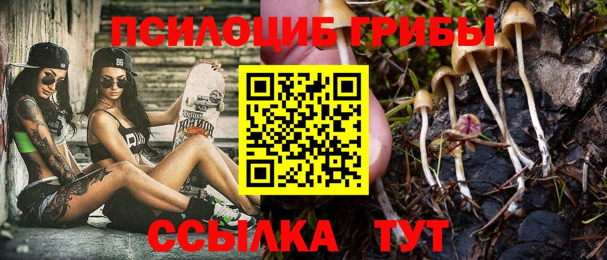 Галлюциногенные грибы GOLDEN TEACHER  Галлюциногенные грибы MAGIC MUSHROOMS  купить закладку  Ярославль  Вход с VPN 