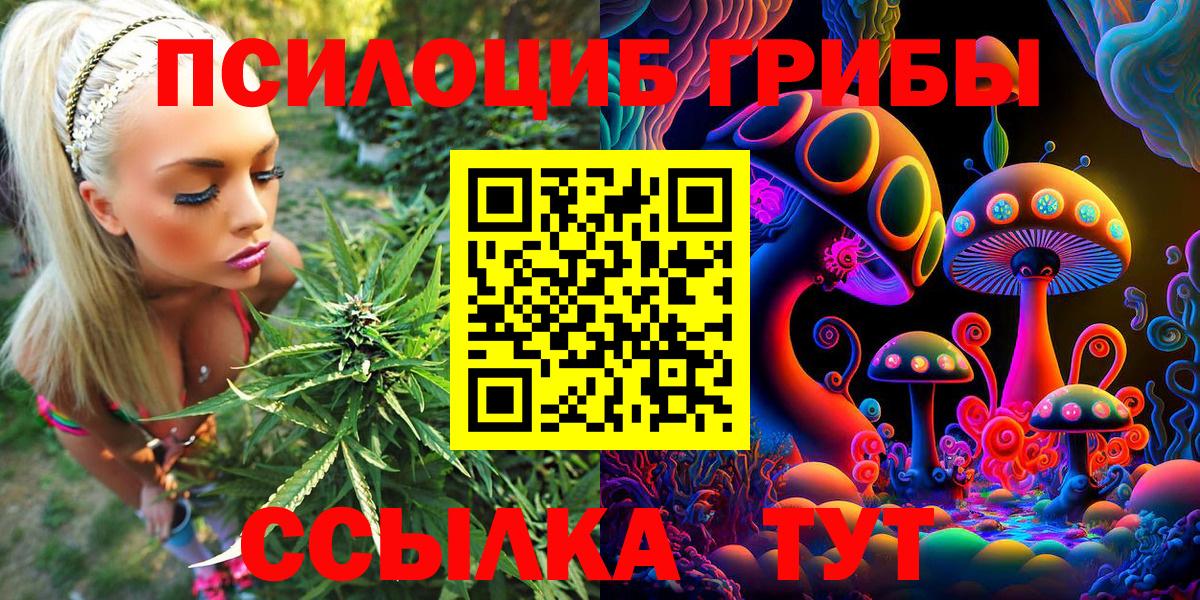 Галлюциногенные грибы Magic Shrooms Ярославль
